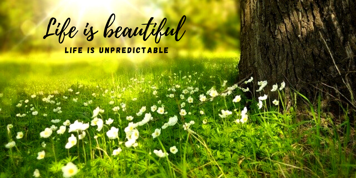 Life is beautiful _ Life is unpredictable