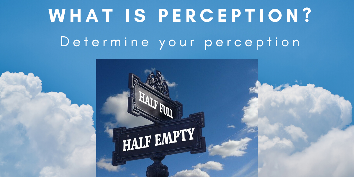 What is perception?